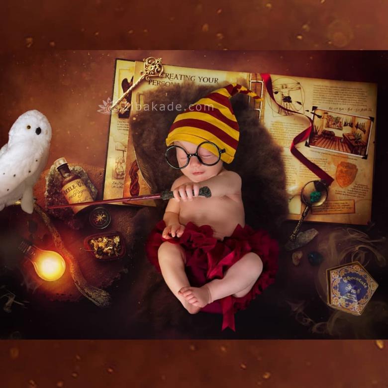 تم تولد هری پاتر - Harry Potter